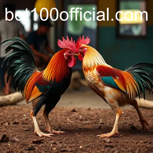 The Fascination with Sabong Games and Bet100